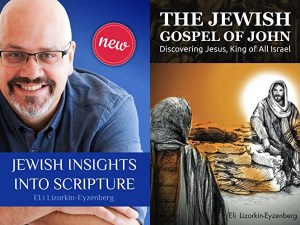 Eli Lizorkin-Eisenberg books